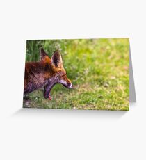 Yawn, Boring! Greeting Card