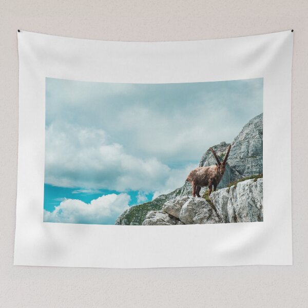 Item preview, Steinbocks in the Julian alps designed and sold by zakaz86.