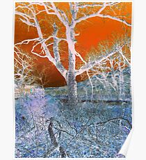 White Tree Poster