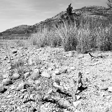 Artwork thumbnail, Many Rocks by Mickey Harkins