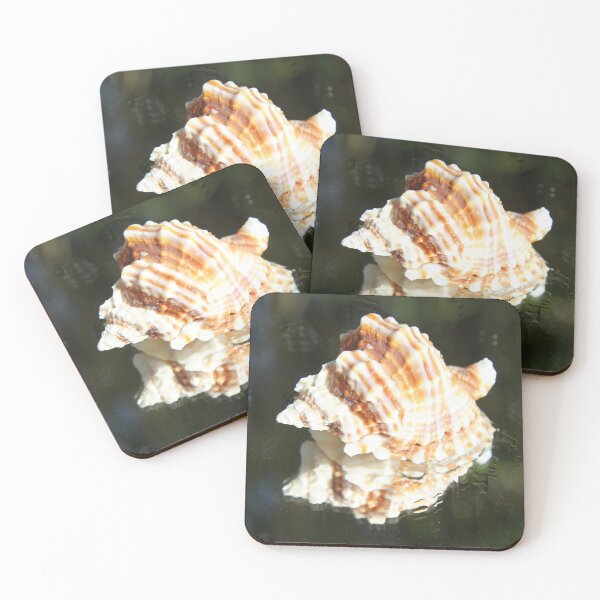 Artikelvorschau, Spiral ribbed harp ocean predatory snail shell entworfen und verkauft von EstelleRossetti.