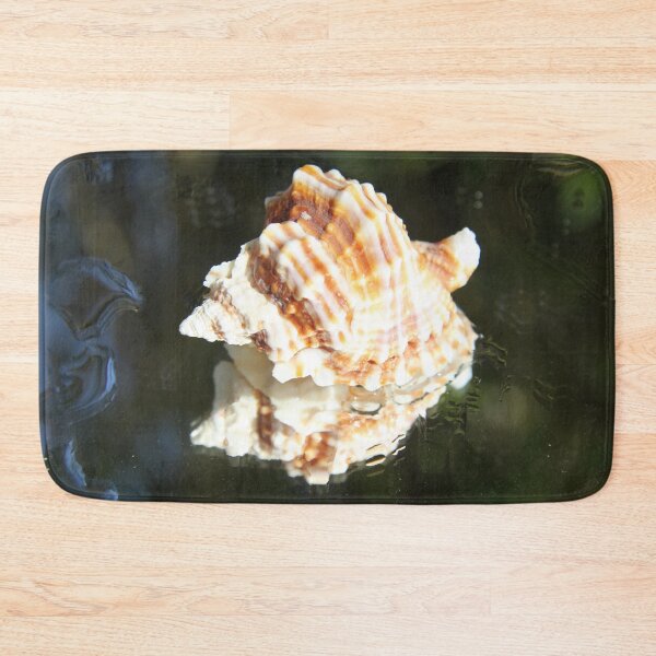 Item preview, Spiral ribbed harp ocean predatory snail shell	 designed and sold by EstelleRossetti.