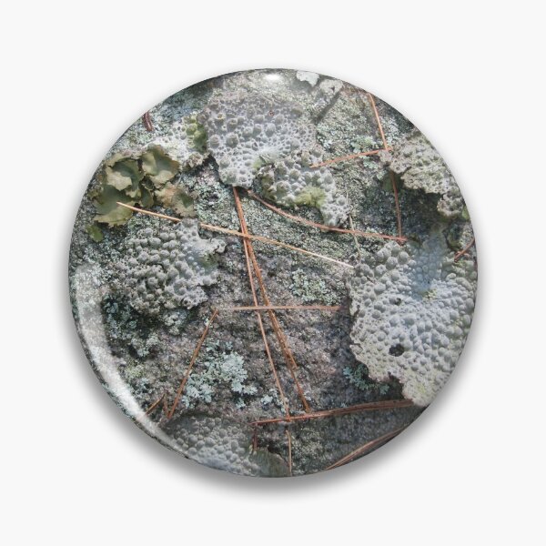 Item preview, Woodland floor-Available As Art Prints-Mugs,Cases,Duvets,T Shirts,Stickers,etc designed and sold by born30.