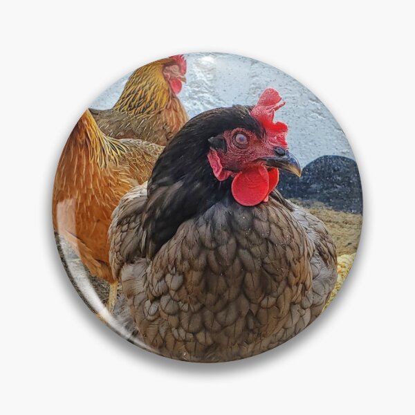 Item preview, The Treo chickens designed and sold by Picturethat1.
