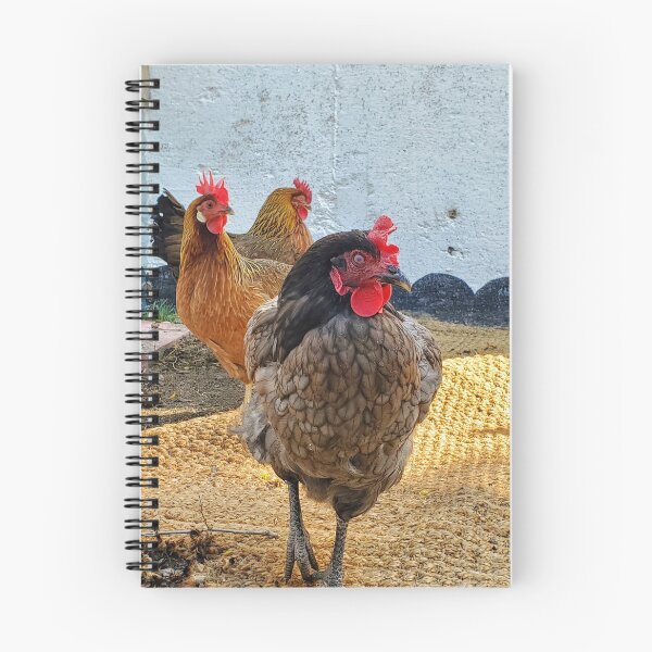 Item preview, The Treo chickens   designed and sold by Picturethat1.