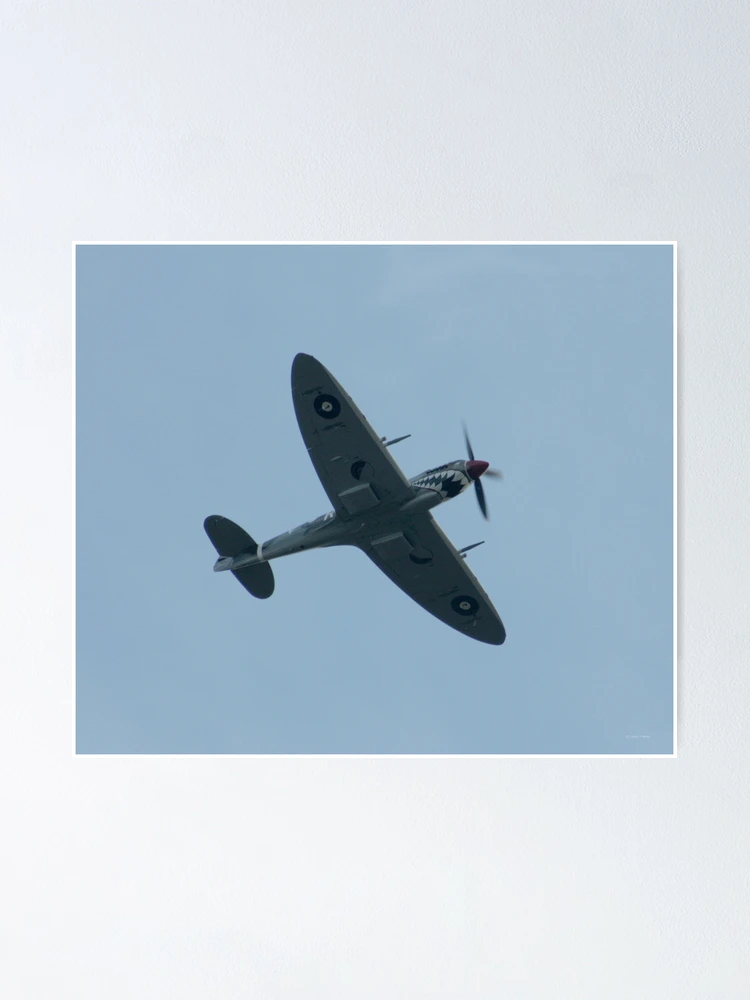 Thumbnail 1 of 3, Poster, Smiling Spitfire designed and sold by Shaun O'Malley.