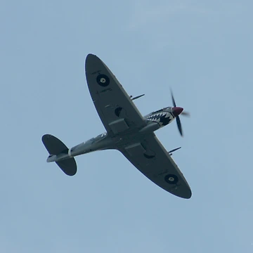 Artwork thumbnail, Smiling Spitfire by Shaun O'Malley