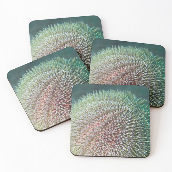 Item preview, Oursin designed and sold by David SINIGAGLIA.