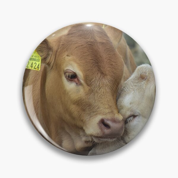 Item preview, Love cows designed and sold by Glineur.