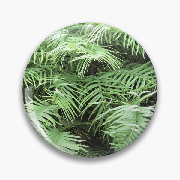 Item preview, Ancient Wollemi Pine - Wollemia Nobilis designed and sold by GoNatureDesigns.