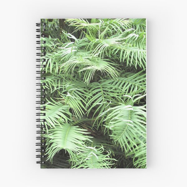 Item preview, Ancient Wollemi Pine - Wollemia Nobilis designed and sold by GoNatureDesigns.