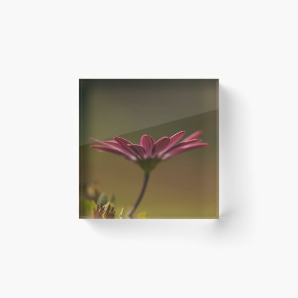 Item preview, Daisy petals  designed and sold by Helen  Kelly.