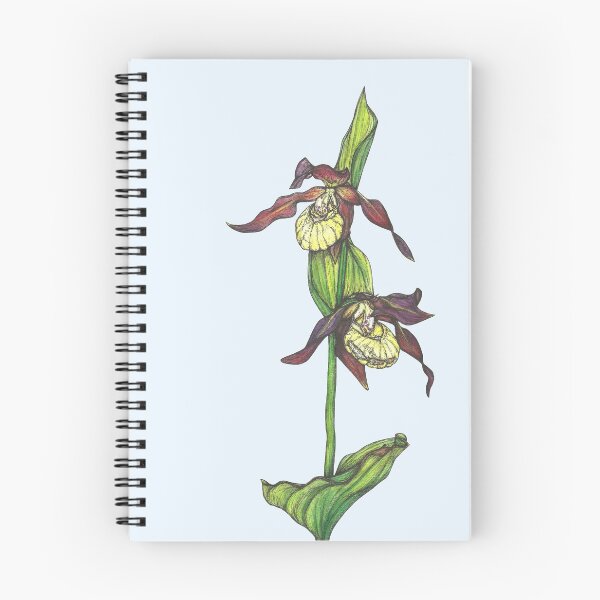 Item preview, Lady Slipper Orchids designed and sold by SerenSketches.