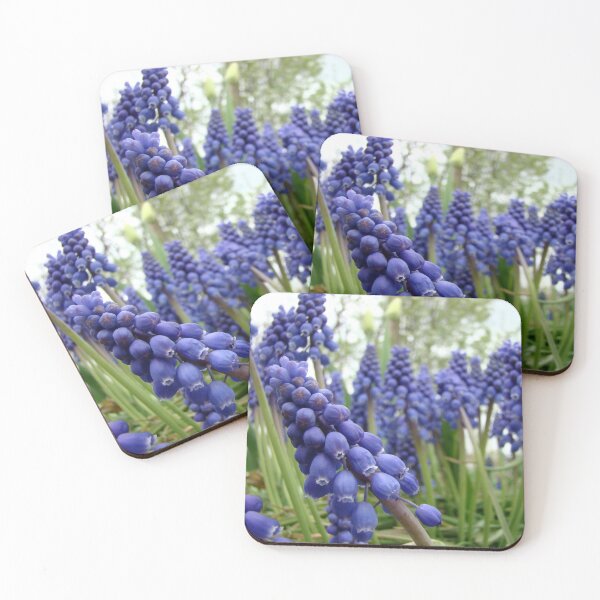Item preview, Grape Hyacinths designed and sold by AGODIPhoto.