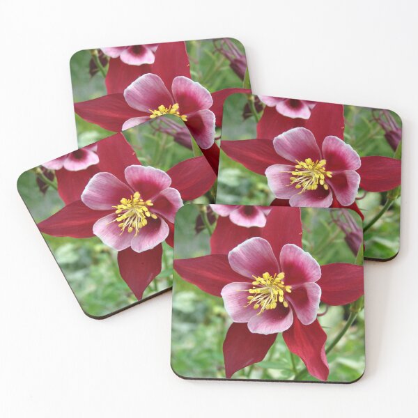 Item preview, Crimson Star designed and sold by AGODIPhoto.