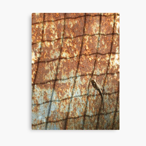 Aperçu de l'œuvre Lizard on Rusted Metal 1 créée et vendue par jojobob.