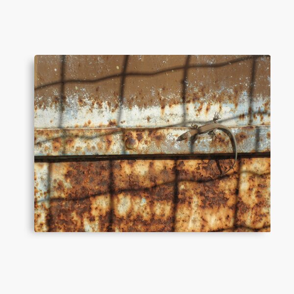 Aperçu de l'œuvre Lizard on Rusted Metal 2 créée et vendue par jojobob.