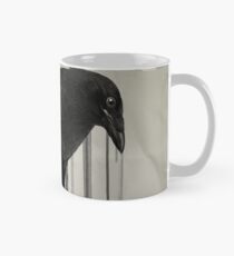 Raven Run Mug