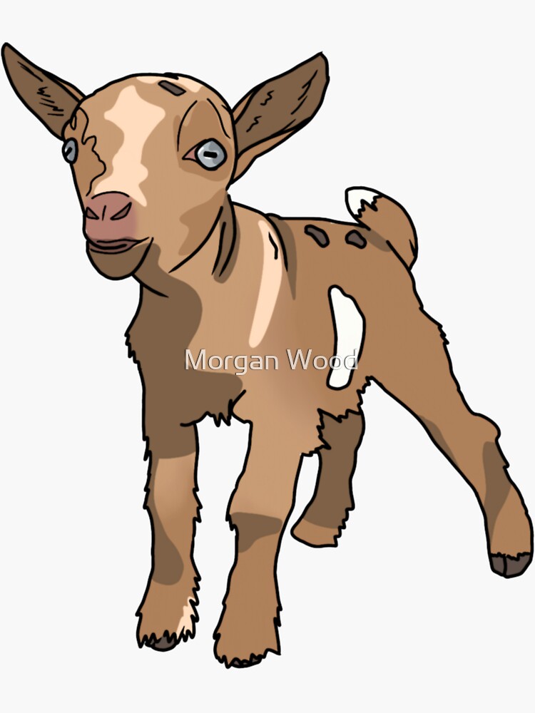 "Cute Baby Goat" Sticker by woodmorgane | Redbubble