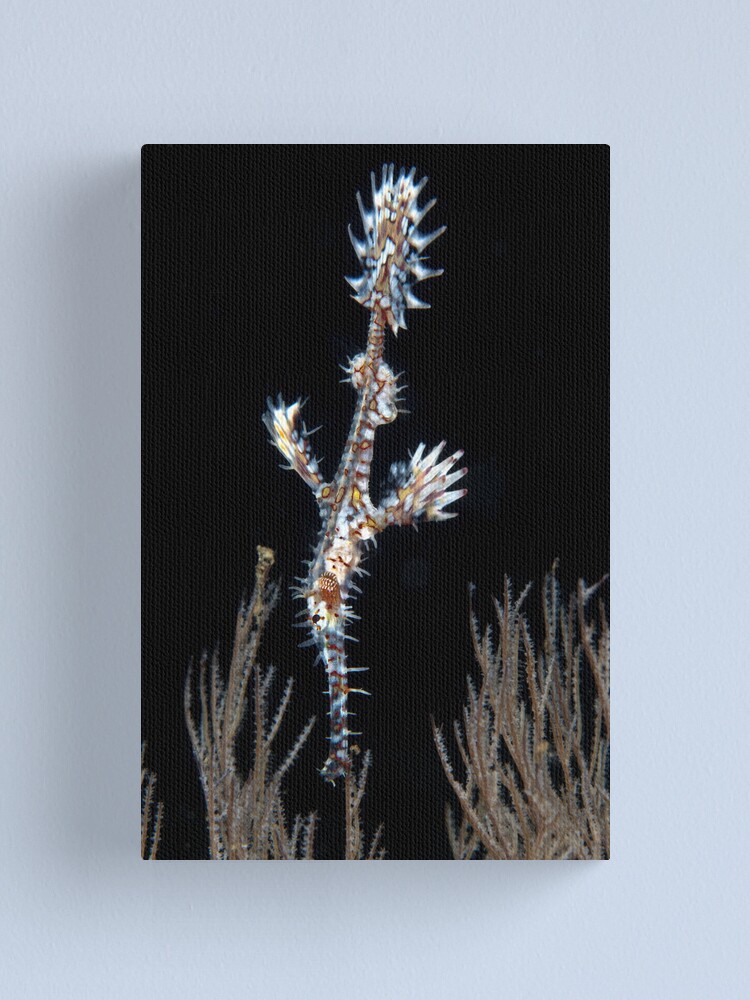 Alternate view of Waiting to pounce Canvas Print