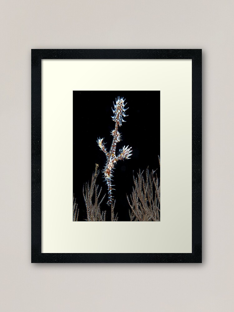 Alternate view of Waiting to pounce Framed Art Print