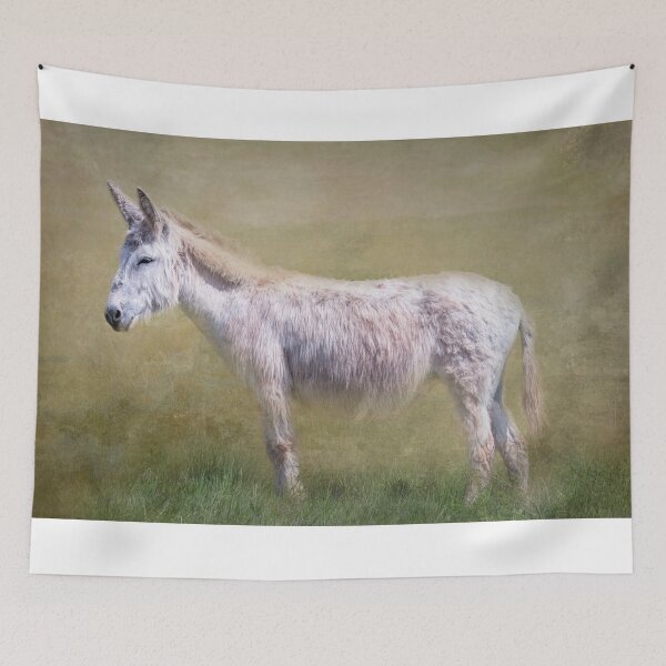 Item preview, Begging Burro Custer State Park South Dakota designed and sold by PhotoArt by Joan Carroll.