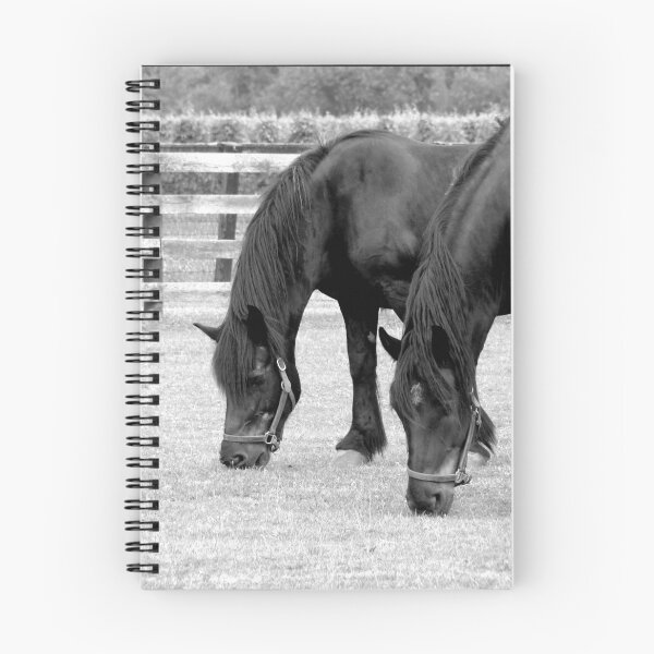 Item preview, Grazing designed and sold by AGODIPhoto.