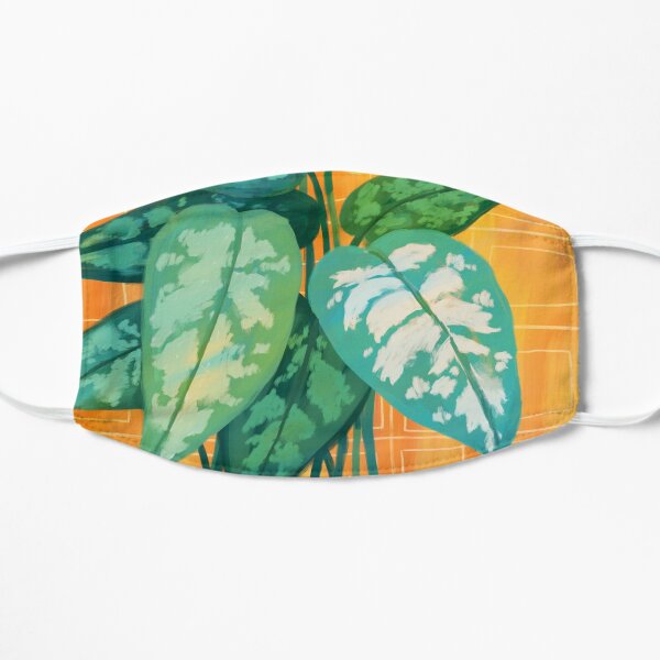 Chinese Evergreen Flat Mask