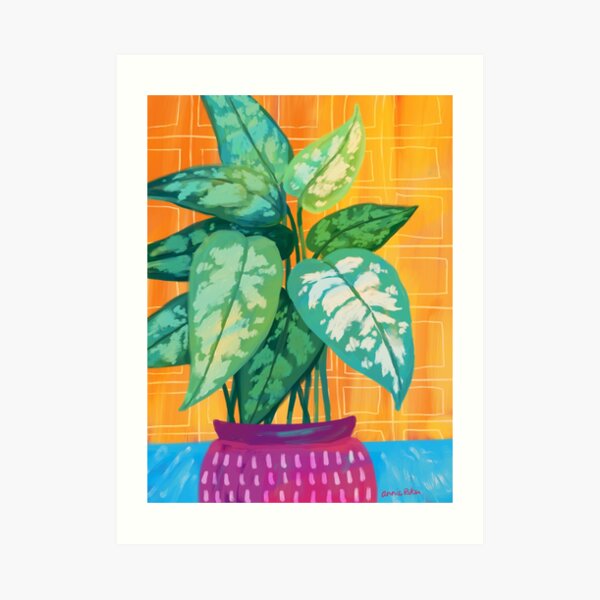 Chinese Evergreen Art Print