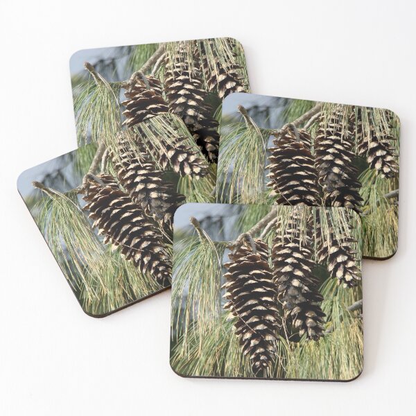 Item preview, Pinecones designed and sold by AGODIPhoto.