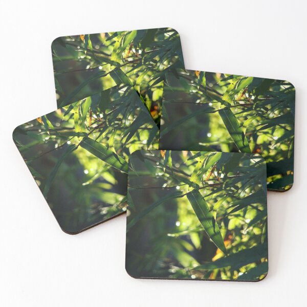 Item preview, Bamboo Forest designed and sold by AGODIPhoto.
