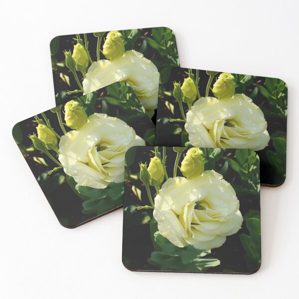 Item preview, White Rose designed and sold by AGODIPhoto.