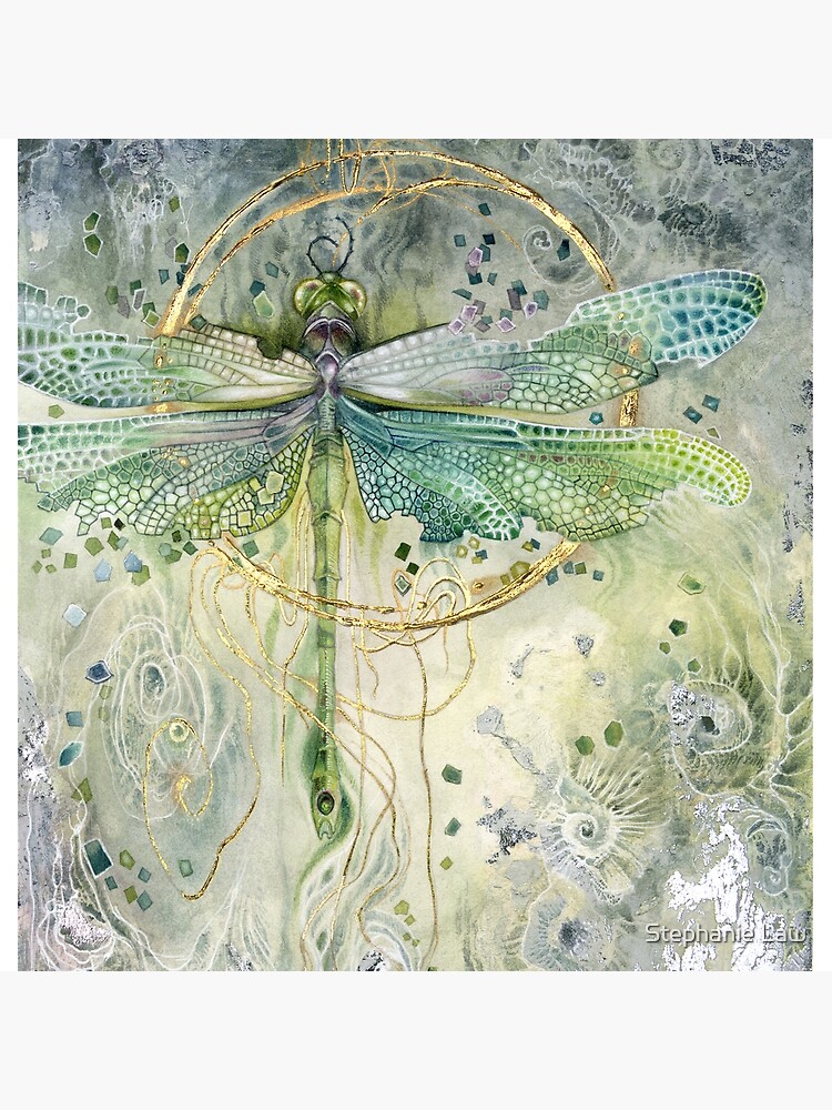 Green Dragonfly by stephlaw