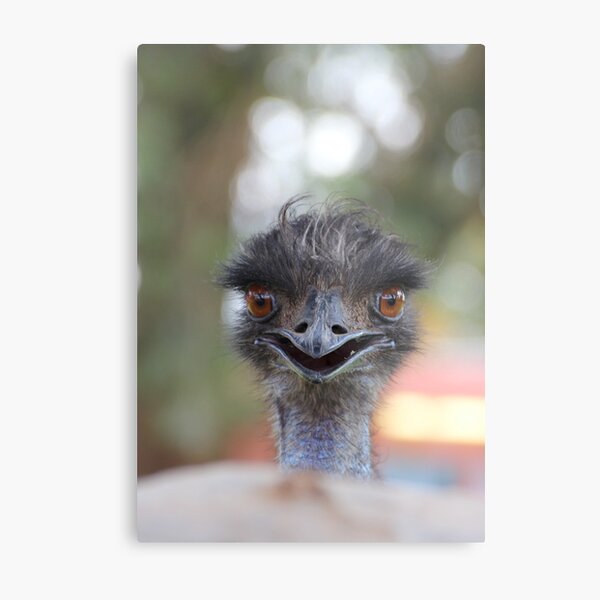 The Happy Emu Metal Print