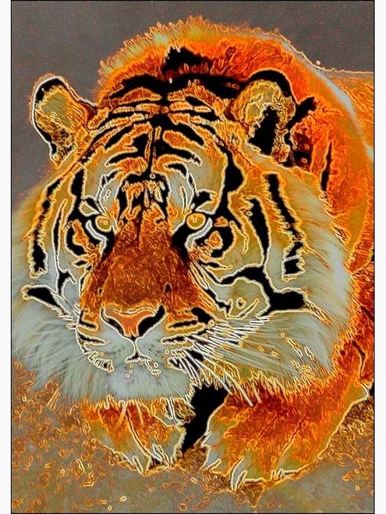 TIRED TIGER by michaeltodd