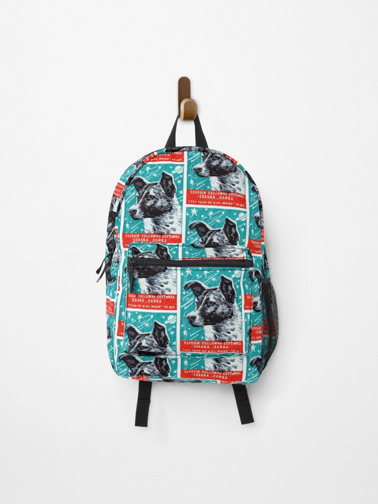 space dog backpack