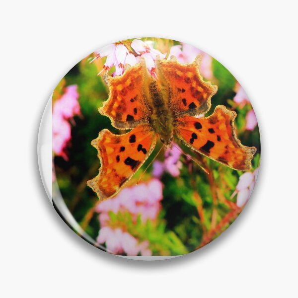 Comma Pin