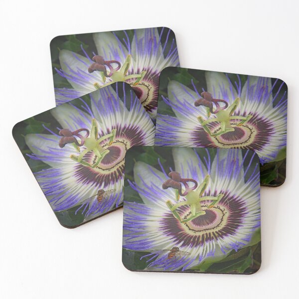 Item preview, Passion Flower, Bee and Harmony designed and sold by Duncan-Mac.