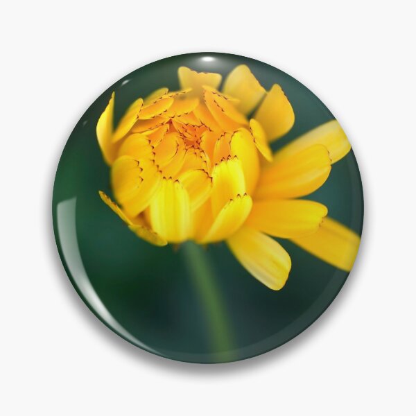 Item preview, Beauty unfolding  designed and sold by Helen  Kelly.
