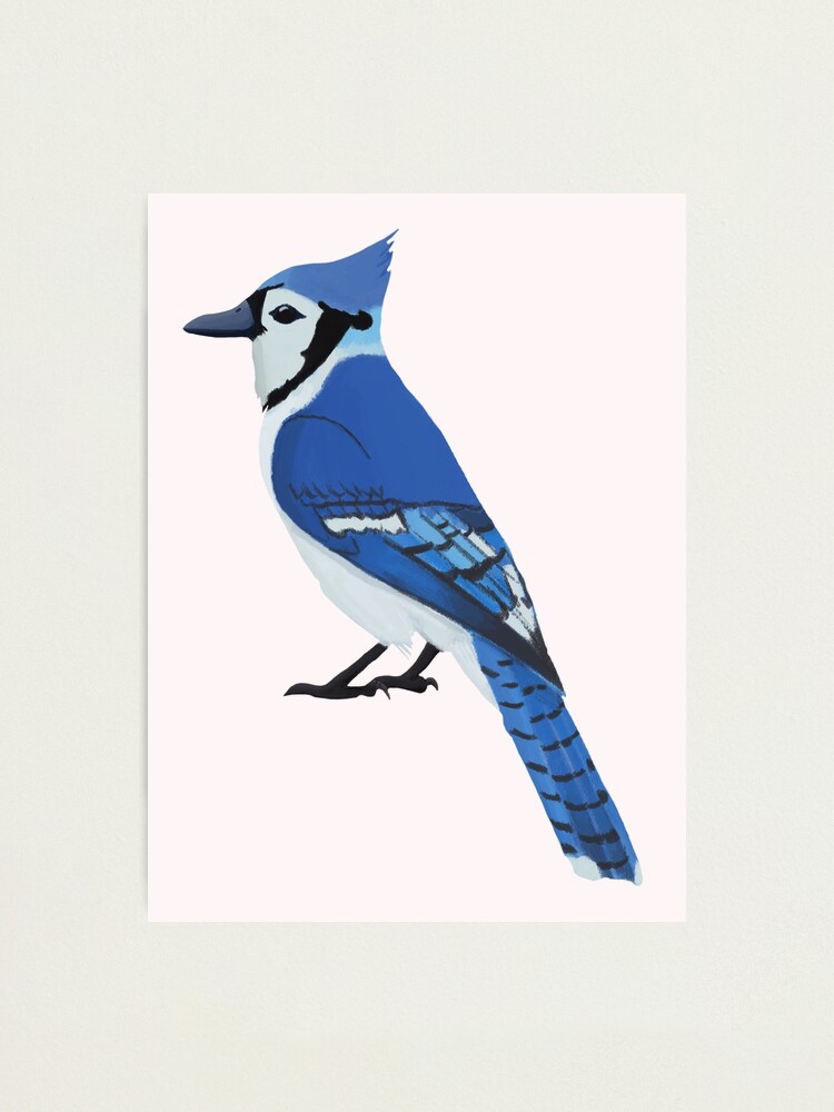 Wrestling Blue Jay T-Shirt by College Mascot Designs - Fine Art America