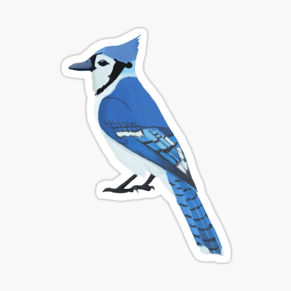 Blue Jay Bird Beautiful Majestic Avian Ornithology Animal Cartoon Vinyl  Sticker (4 Wide, Flying) : : Automotive