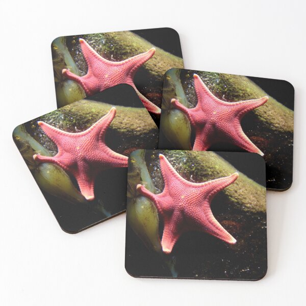 Item preview, Patricio Estrella designed and sold by AGODIPhoto.
