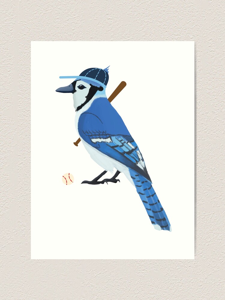 BLUE JAY BIRD Hat Embroidered Men Women Wildlife Baseball 