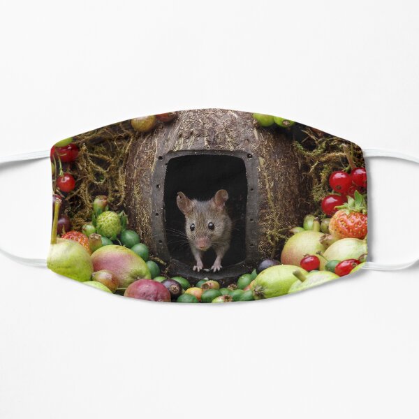 mouse with fruit Mask