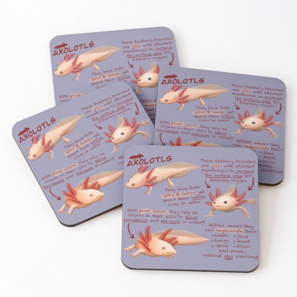 Item preview, Axolotls Fun Facts designed and sold by troyanthonyart.
