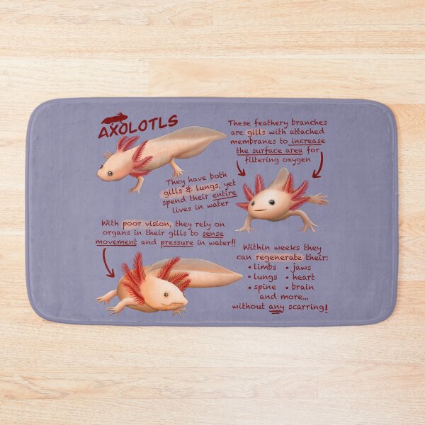 Item preview, Axolotls Fun Facts designed and sold by troyanthonyart.