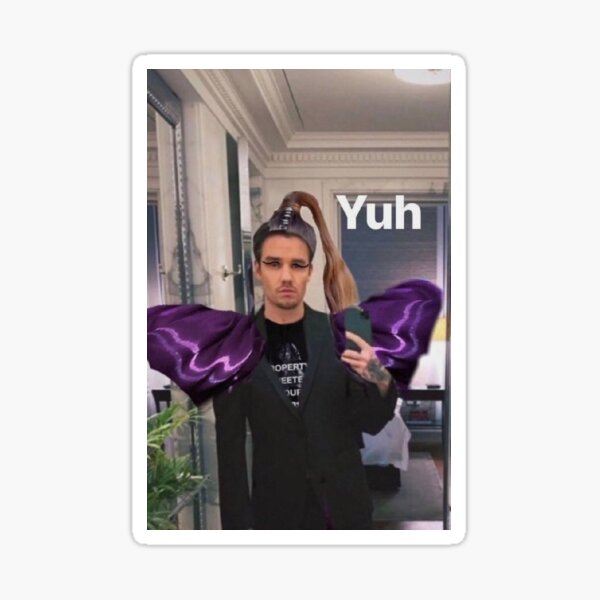 Liam Payne Yuh Meme  Sticker