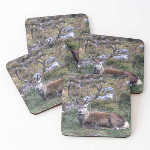 Item preview, The Stag at Rest designed and sold by Jamie  Green.