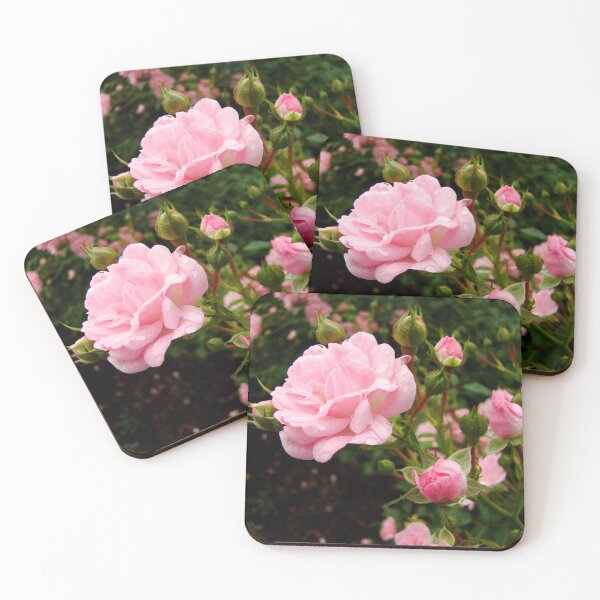 Artikelvorschau, Pink Dew entworfen und verkauft von AGODIPhoto.