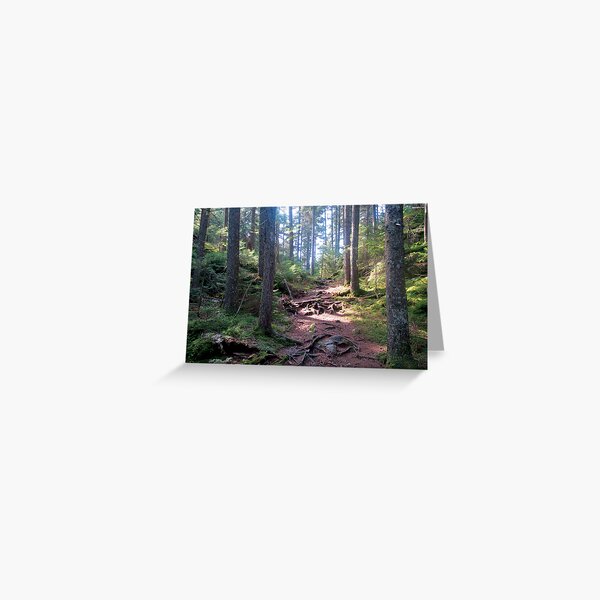 White Blaze Greeting Card